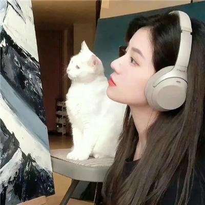 乱发日记